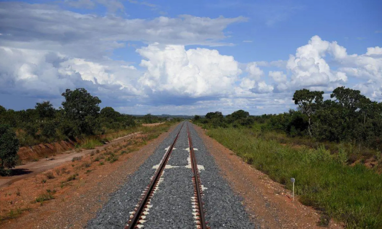 Deputados celebram decisão do STF que valida a lei de construção da Ferrogrão