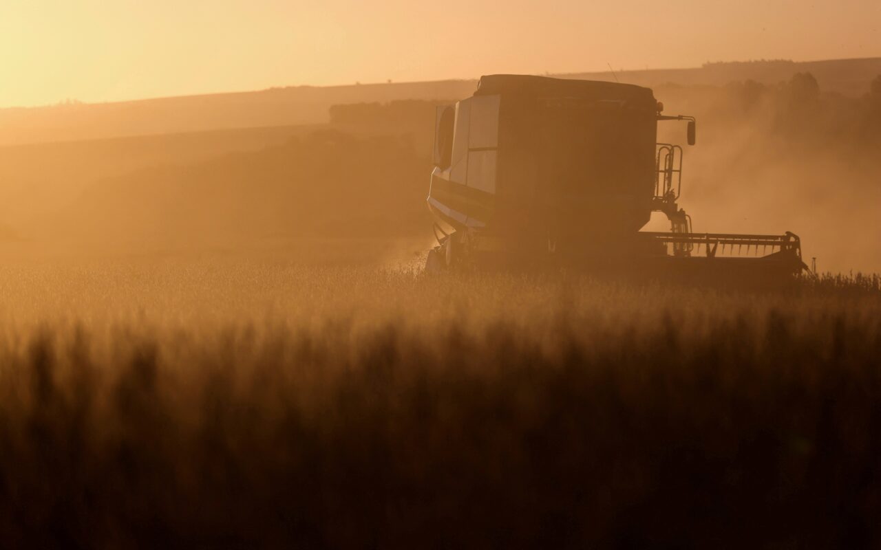 Leilões de propriedades rurais disparam no Brasil com aumento da inadimplência no campo