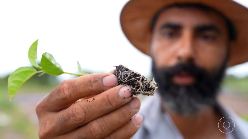 'Ajoelhei e pedi a Deus que me desse água': como a irrigação transformou 'corredor da miséria' em Goiás em polo de frutas