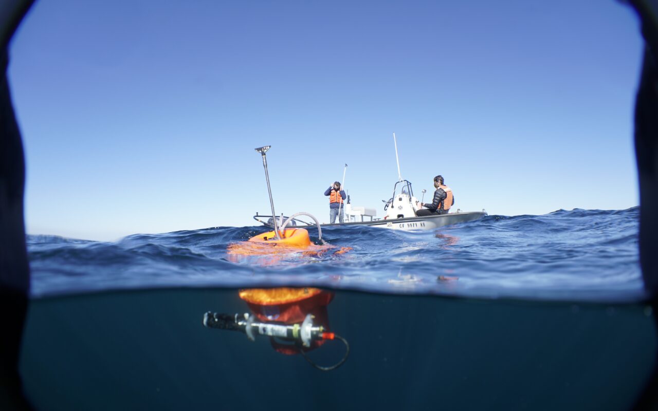 Do peixe à energia: como o calor recorde dos oceanos pode encarecer alimentos e afetar turismo